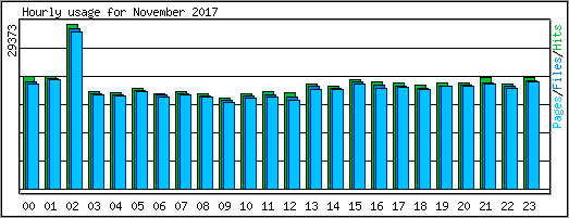 Hourly usage