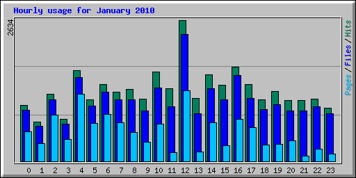 Hourly usage for January 2010