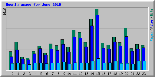 Hourly usage for June 2010